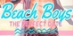 Beach Boys The Perfect Date Nintendo Switch