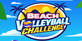 Beach Volleyball Challenge Nintendo Switch