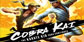 Cobra Kai The Karate Kid Saga Continues Xbox Series X