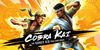 Cobra Kai The Karate Kid Saga Continues