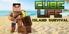 Cube Life Island Survival Nintendo Switch
