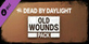 Dead by Daylight Old Wounds Pack