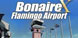 FSX Bonaire Flamingo Airport X
