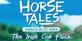 Horse Tales Emerald Valley Irish Cob PS4