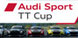 RaceRoom Audi Sport TT Cup 2015